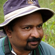 SATISH H